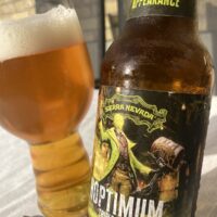 sierra nevada hoptimum 2024